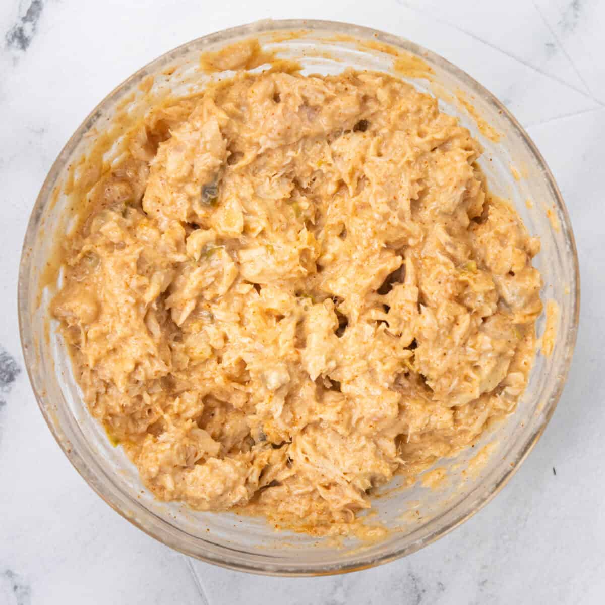 Spicy Tuna Melt Mixed