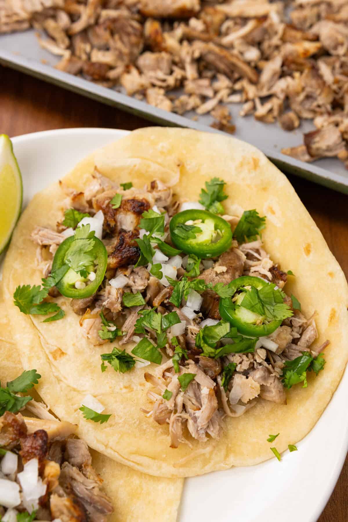 Juicy pork carnitas in a taco with a tortilla, jalapeño, and cilantro