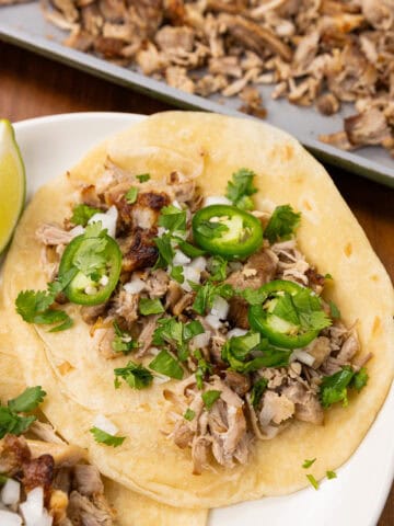 Juicy pork carnitas in a taco with a tortilla, jalapeño, and cilantro