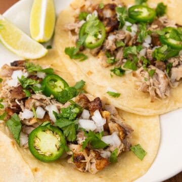 Juicy pork carnitas in a taco with a tortilla, jalapeño, and cilantro