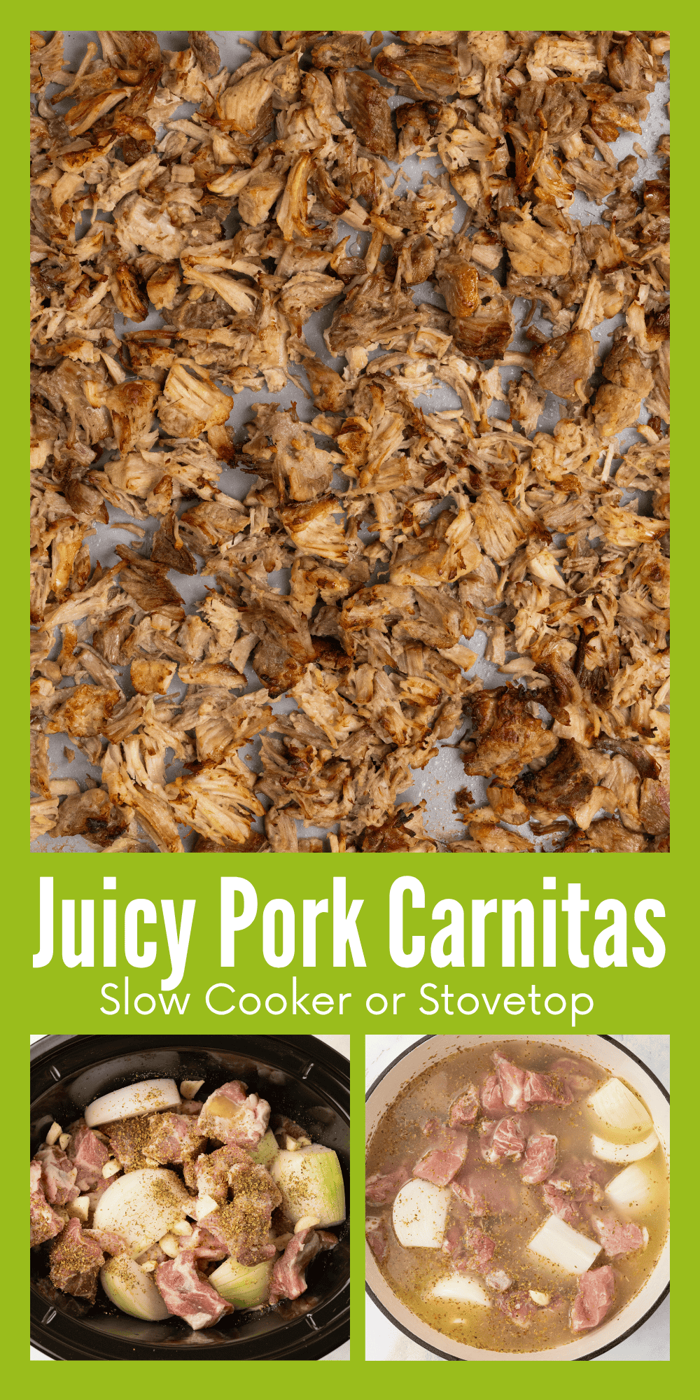 Juicy Pork Carnitas pins