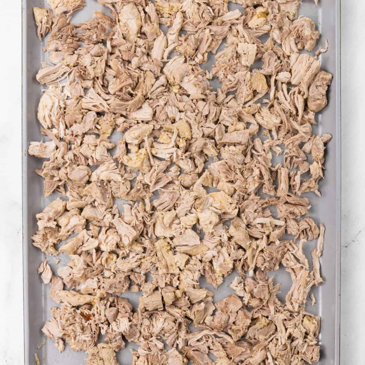Juicy Pork Carnitas not broiled