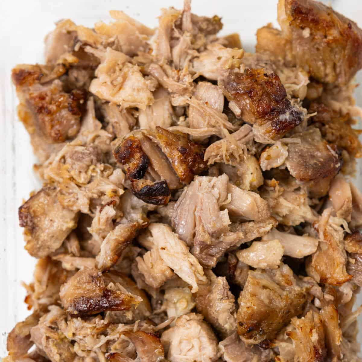 Juicy Pork Carnitas close up