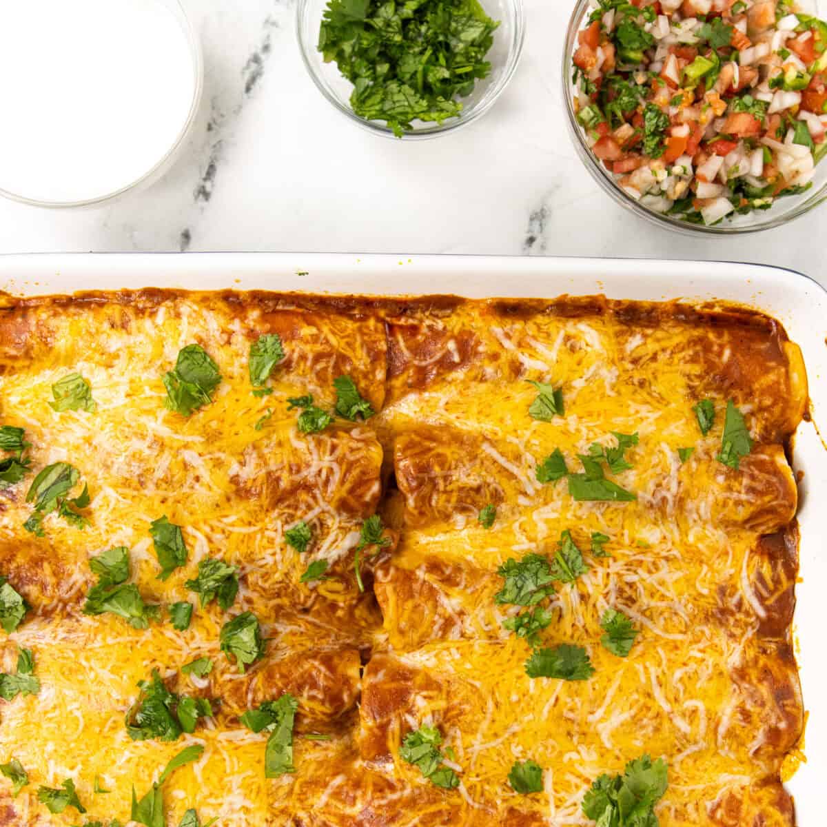 Pork Carnitas Enchiladas with sour cream cilantro and pico de Gallo