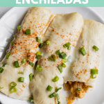 Chicken Enchiladas with sour cream sauce and green onions on top