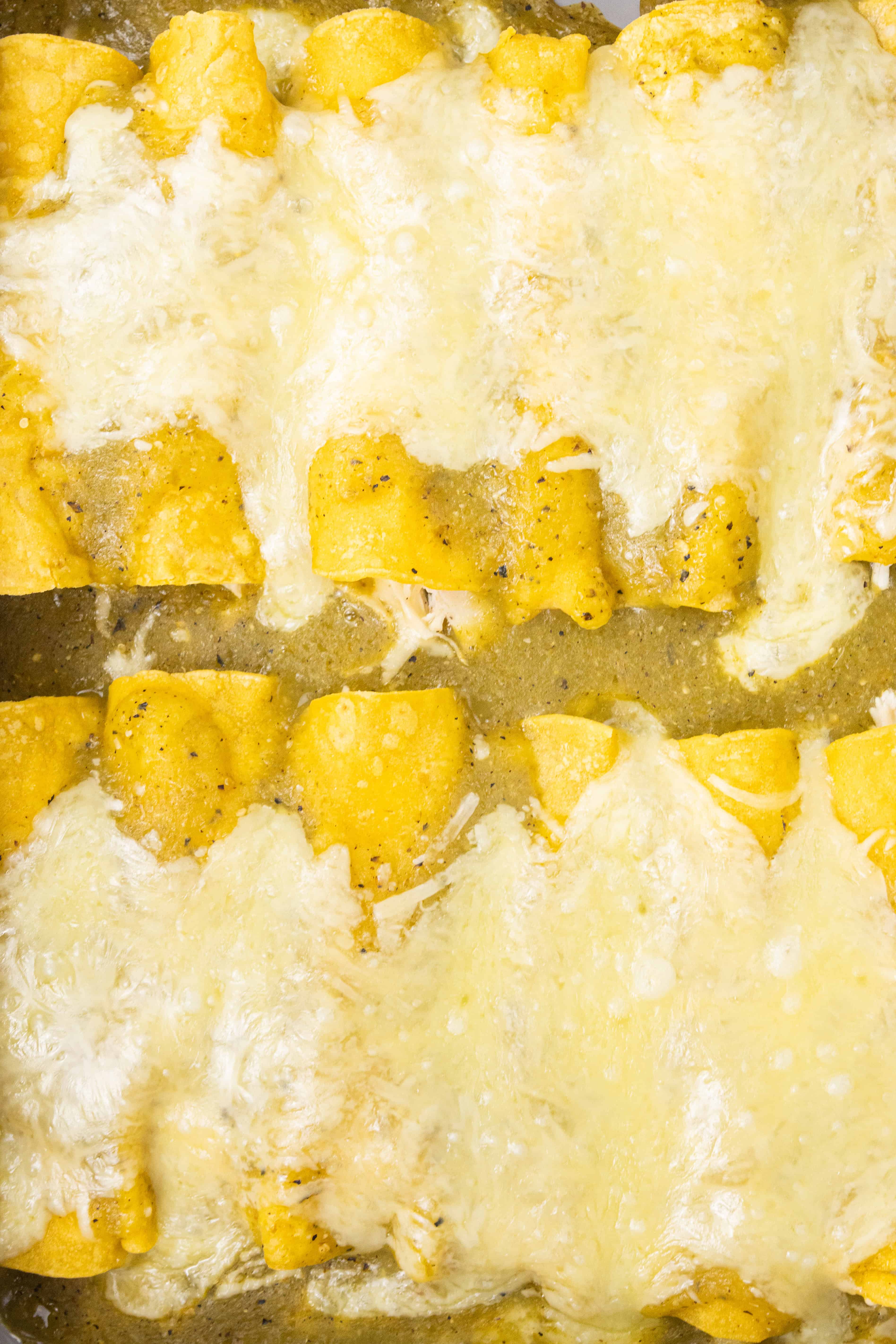 Chicken Enchiladas with Corn Tortillas
