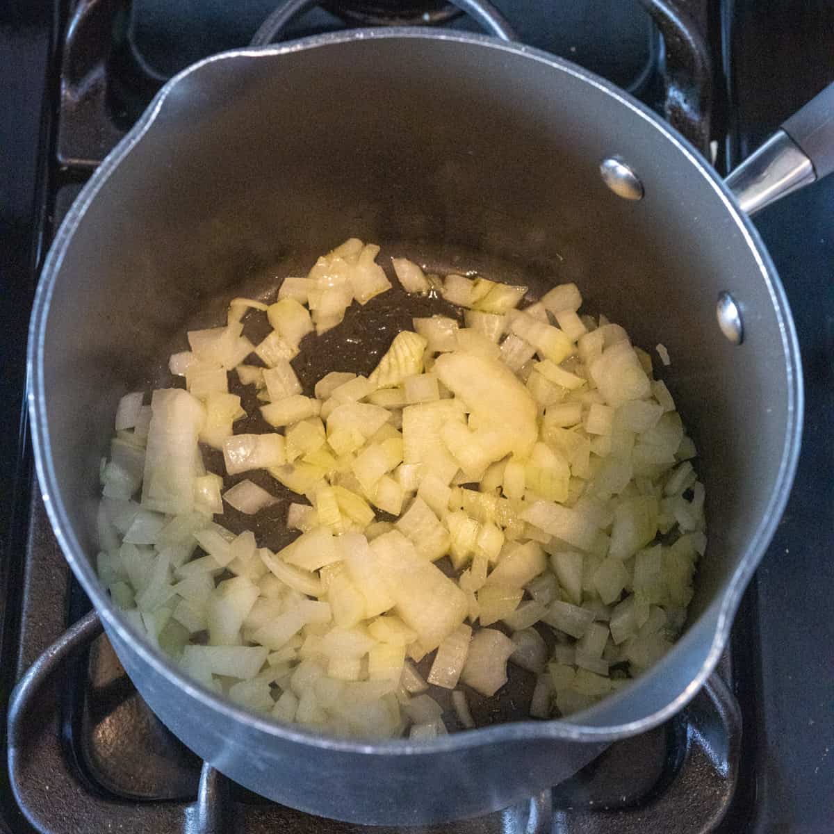 cooking onion in pot
