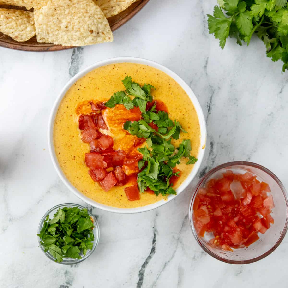 queso with tomatoes and cilantro next to it