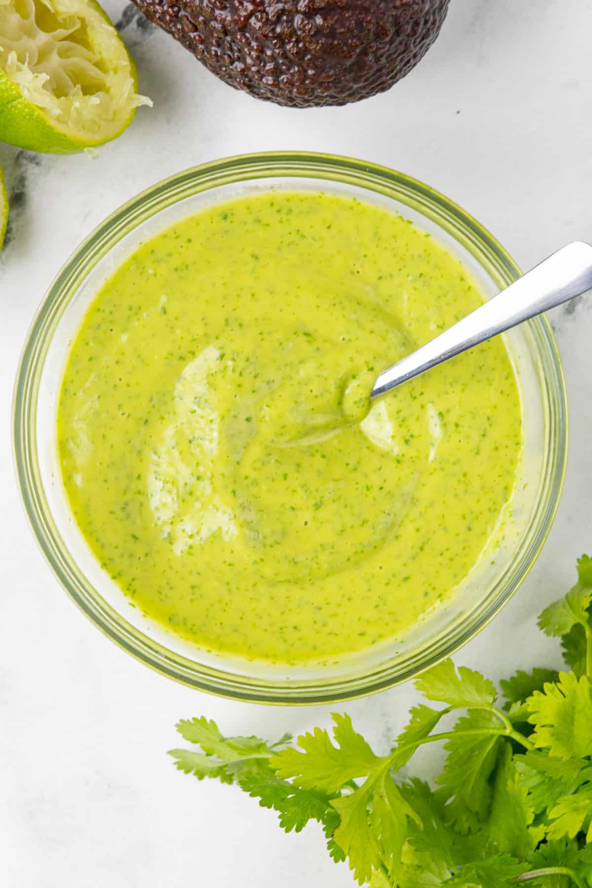 Creamy cilantro lime dressing with ingredients