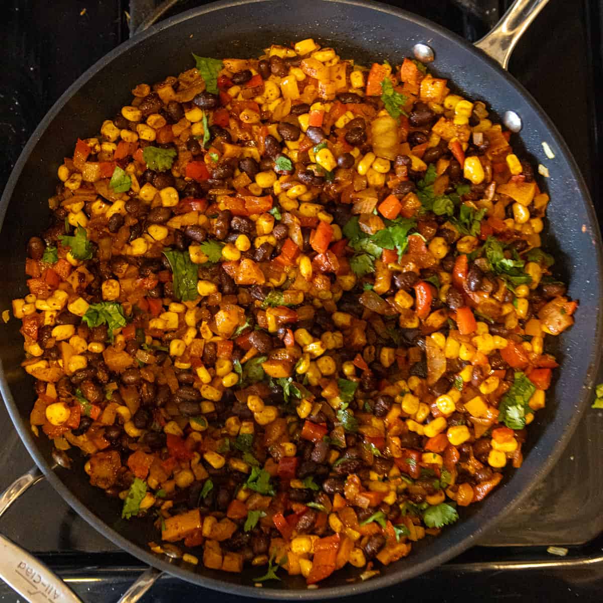 Black Bean And Corn Quesadilla Megan Vs Kitchen   Quesadilla Filling 