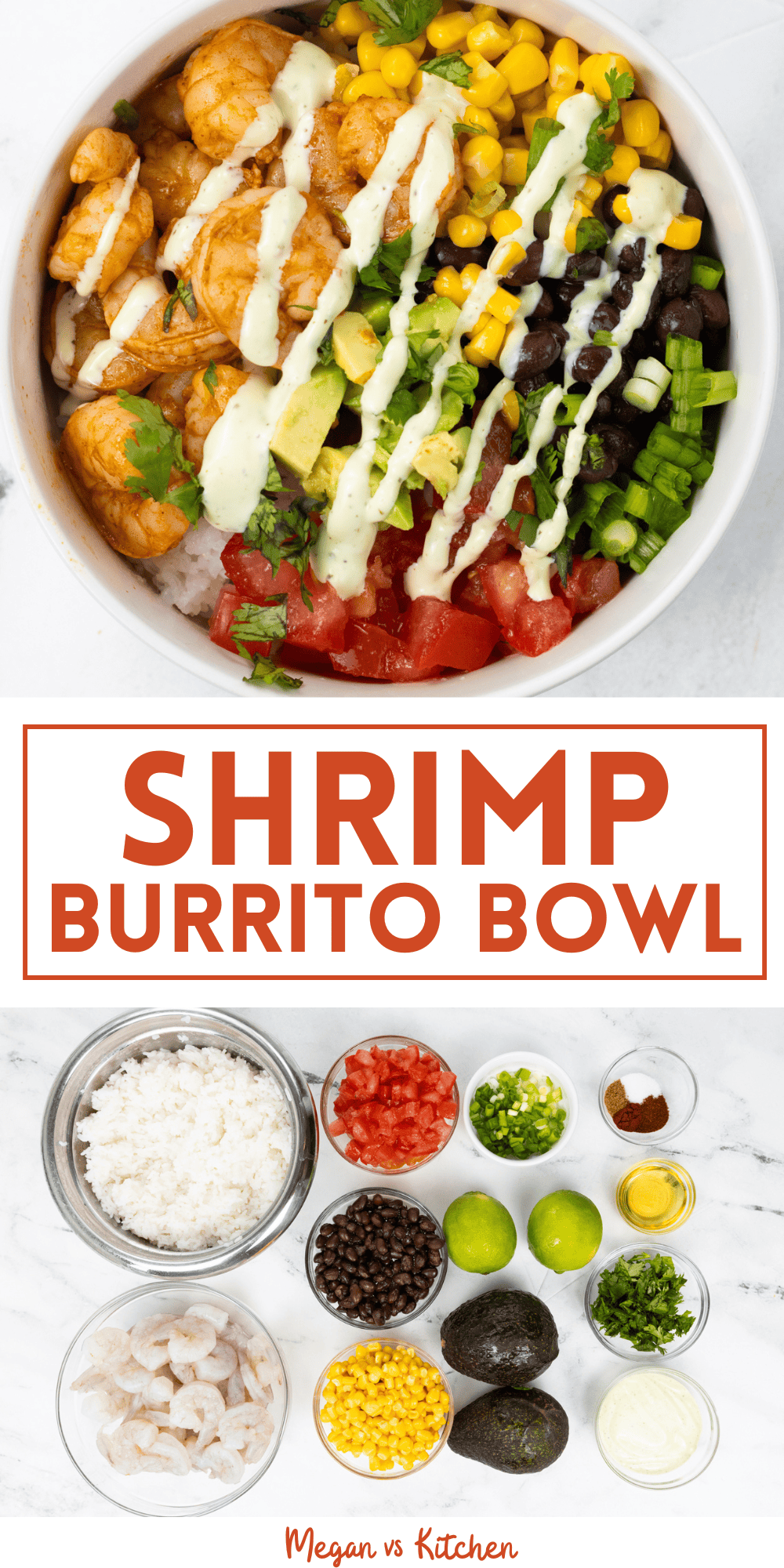 Shrimp Burrito Bowl pins 2
