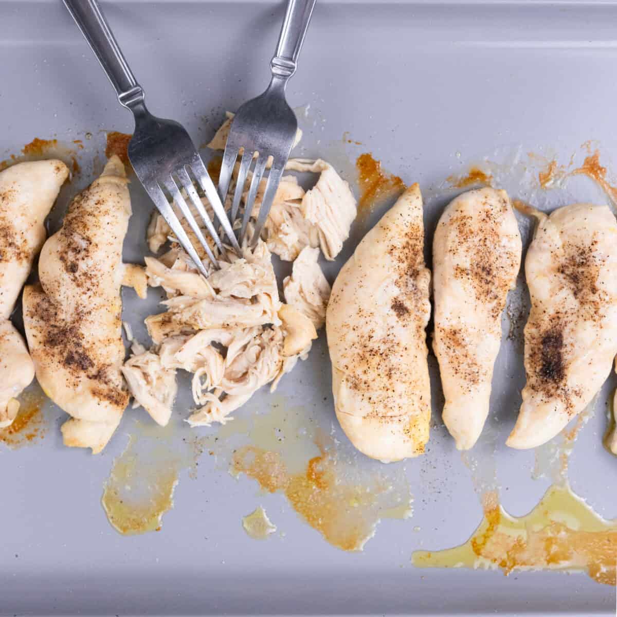 shredding chicken that will be used in chicken noodle pasta