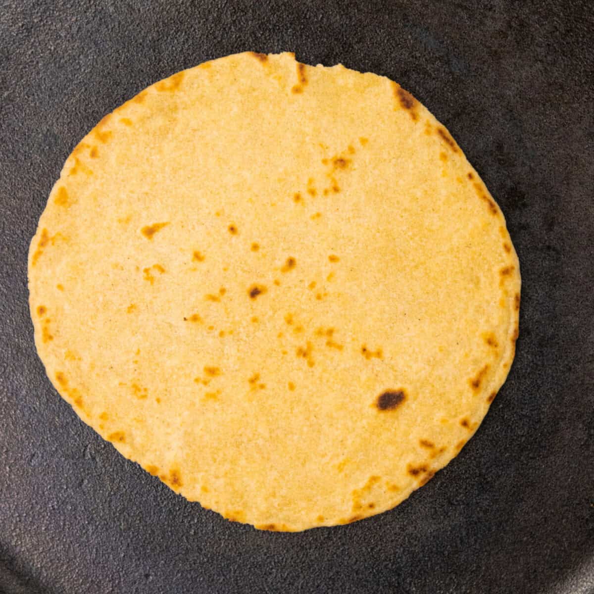 cooking corn flour tortillas