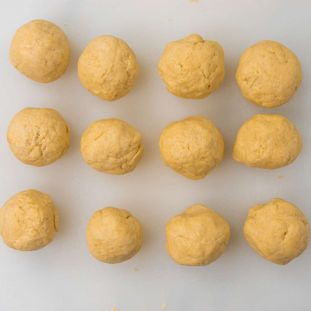 kneaded corn flour tortillas