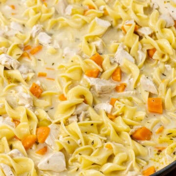 chicken noodle soup in a dutch oven