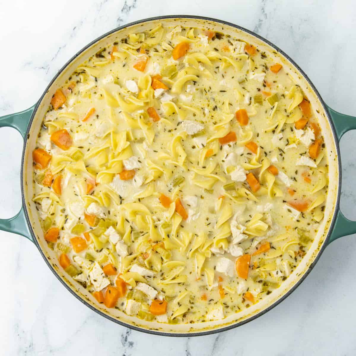 chicken noodle soup finished in a dutch oven